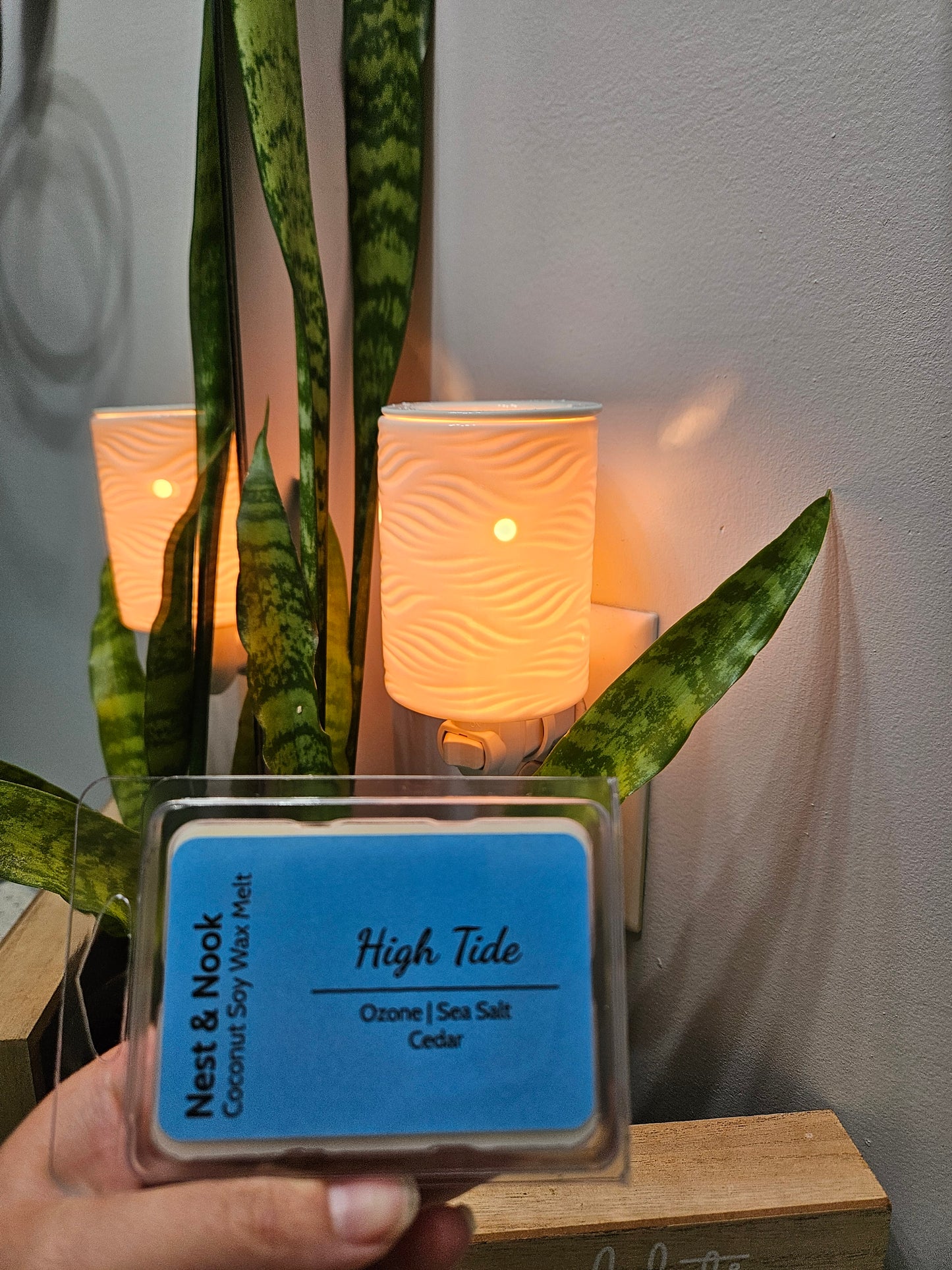 High Tide Wax Melt